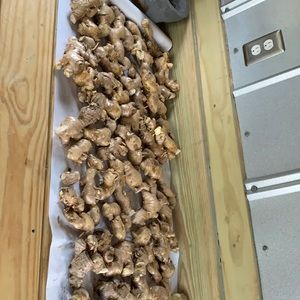 4 Ginger roots $9.